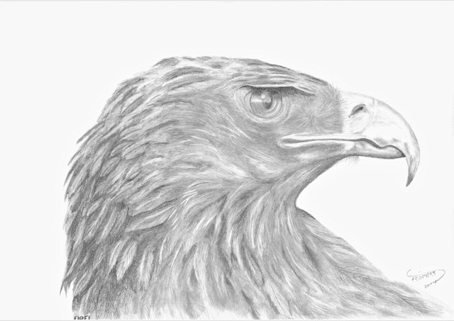 Eagle Orel 1 800