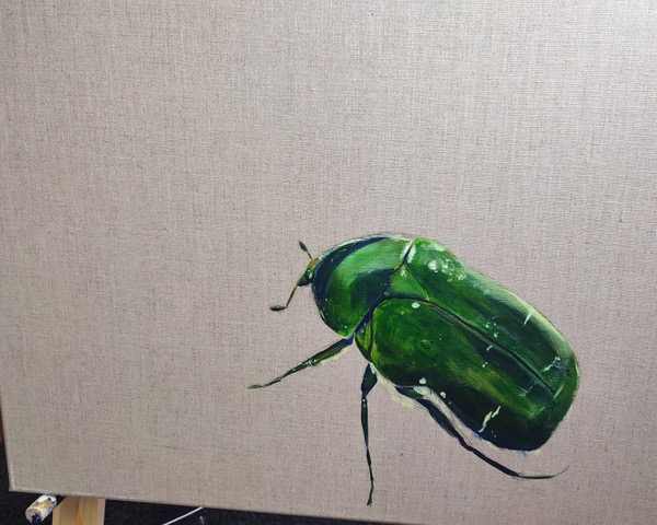 KH2025 Gemeiner Rosenkäfer 50x70